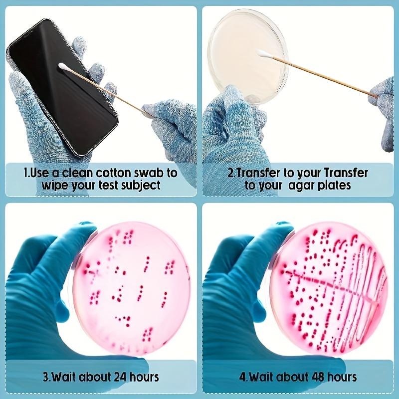 Fantastic Bacteria Science Kit - Petri Dish Science Kit - Top Science Fair Project Kit