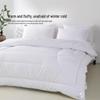 Mercury Home Textiles Alice Antibacterial Fiber Quilt