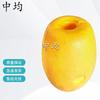 Zhongjun Oval Foam Fishing Floats