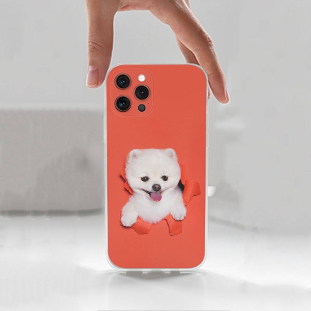 Cute P-Pomeranian Dogs Case For iPhone 17,11,12,13,16,14,15,Pro,Max,Plus,X,XS,XR,SE,Mini Transparent Soft Silicone