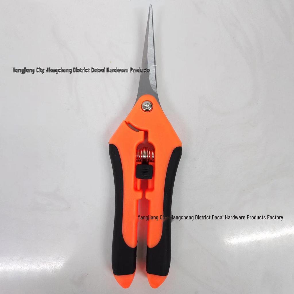 Stainless Steel Pruning Shears – Straight Head Elbow Flower, Fruit, and Vegetable Scissors.