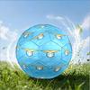 Lazio Football Club Emblem Size 5 Soccer Ball,Indoor/Outdoor Suitable for Training Matches Tournaments Practice Games Perfect Gift for Fan