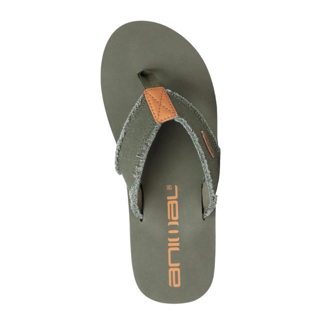 Animal Herren Tidal Zehensandalen