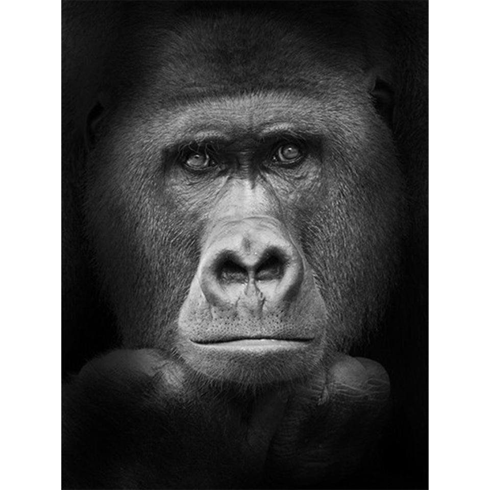 5D Round Diamond Painting "animal" Lion Tiger Diamond Embroidery Cross Stitch Kit Rhinestone Mosaic Picture DIY Decoration Gift