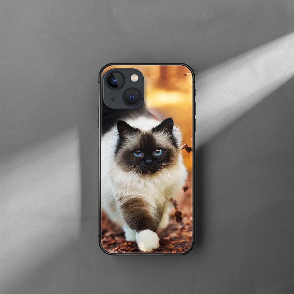 Słodki kociak etui na telefon iPhone Samsung Galaxy Redmi Xiaomi Oppo OnePlus Note S A 7 8 9 10 11 12 13 14 20 21 22 23 53 54 Pro Max Plus Ultra TPU Miękkie