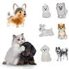 Transparent Dog Hair Storage Box Bichon Husky Corgi Dog Hair Storage Capsule  Gift Giving
