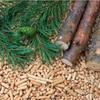 Wooden Pellet Litter for Cats, Rabbits, Rodents, Natural Light 100% 10Kg