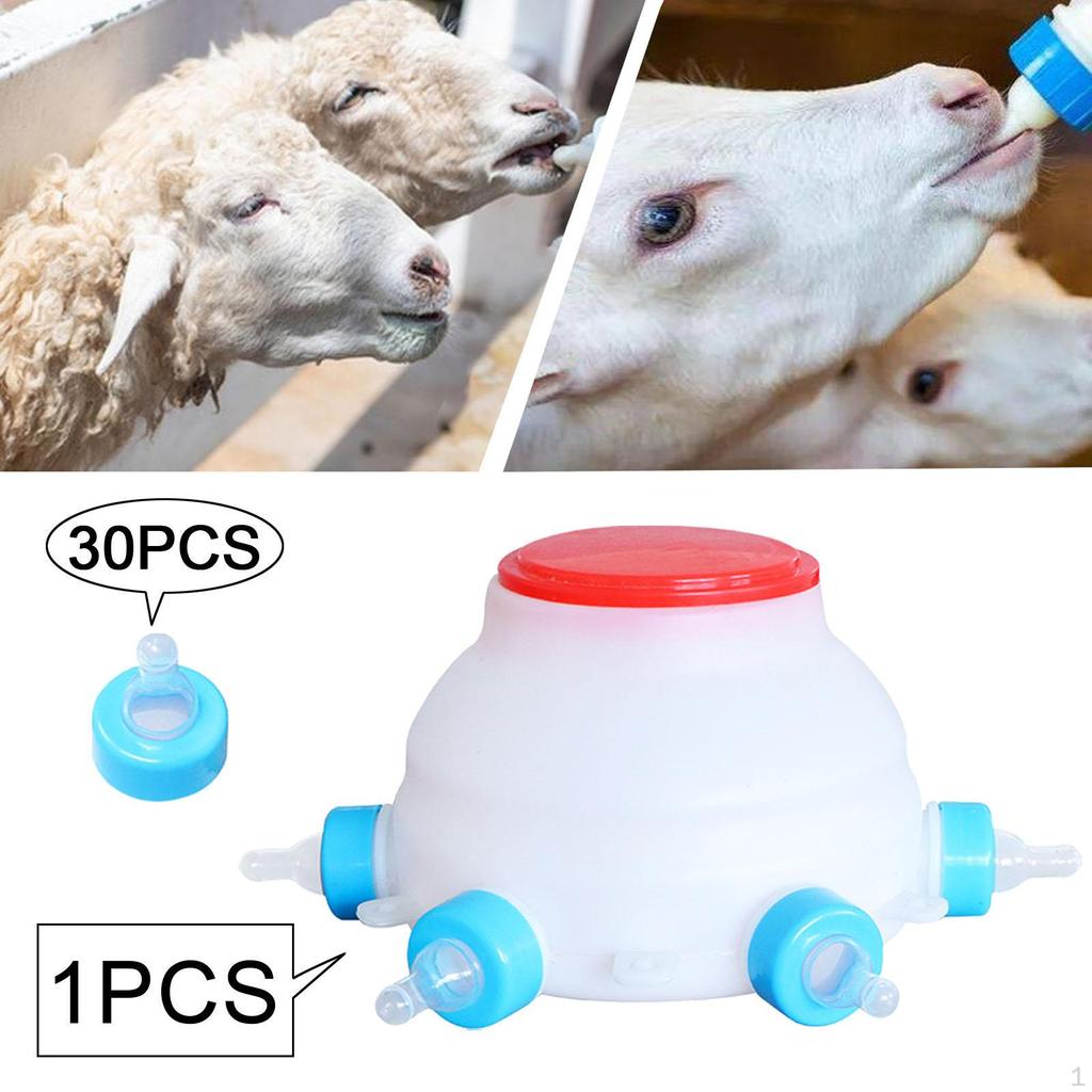 Feeding Bottle for Lambs And Piglets with Extra Nipples Livestock