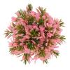 Artificial Aquarium Grass Ball Colorfast Fish Tank Plastic Grass Ball for Aquarium Fish Tank