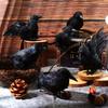 Simulation Black Crow Halloween Black Crow Props Simulation Fake Bird Ghost Festival Halloween Decoration Scary Toys