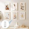 12pcs No Drilling Self-Adhesive Picture Hooks for Picture Frames