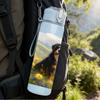 1PC Border Collie Flower Meadow 750ml Color Plastic Sports Water Bottle Leakproof Flip Straw Lid Suitable for Sports Office Home Use