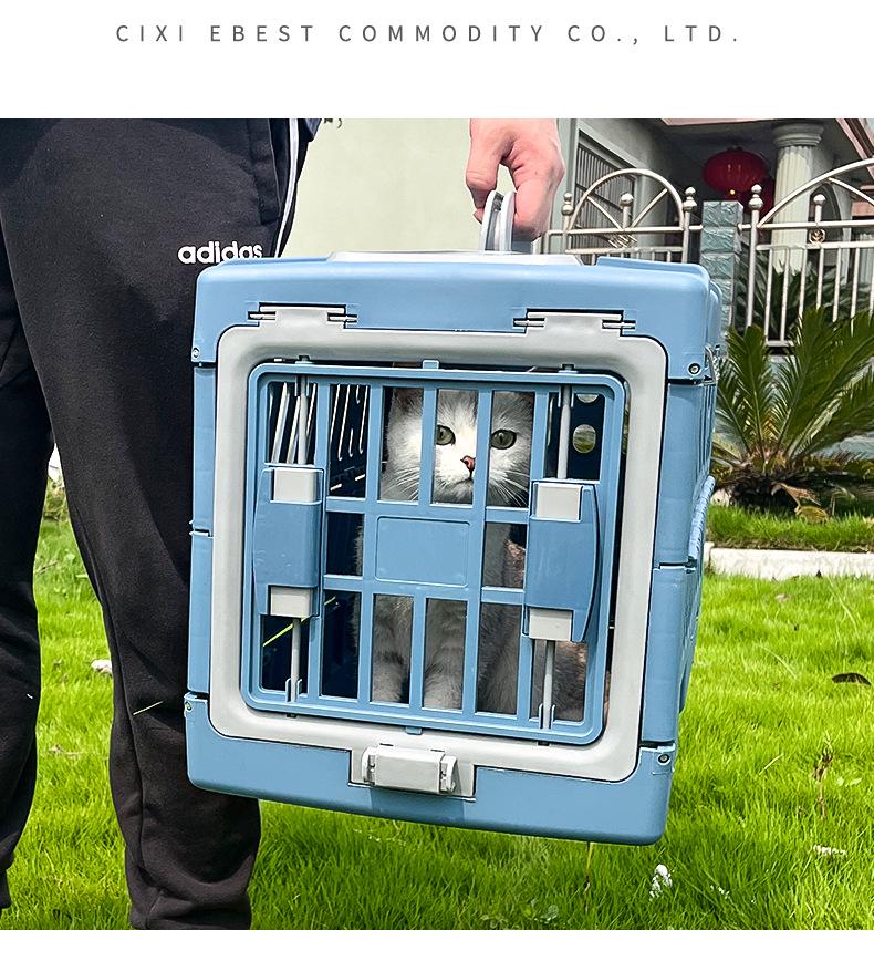 Trasportino Pieghevole Portatile per Animali Karolfer: Capsula spaziale traspirante per cani e gatti.