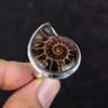 Ammonite Fossil Ring Genuine Gemstone Ring Decent Jewelry 925 Sterling Silver Ring Adjustable Ring Handmade Amazing Jewelry Gifts for Him