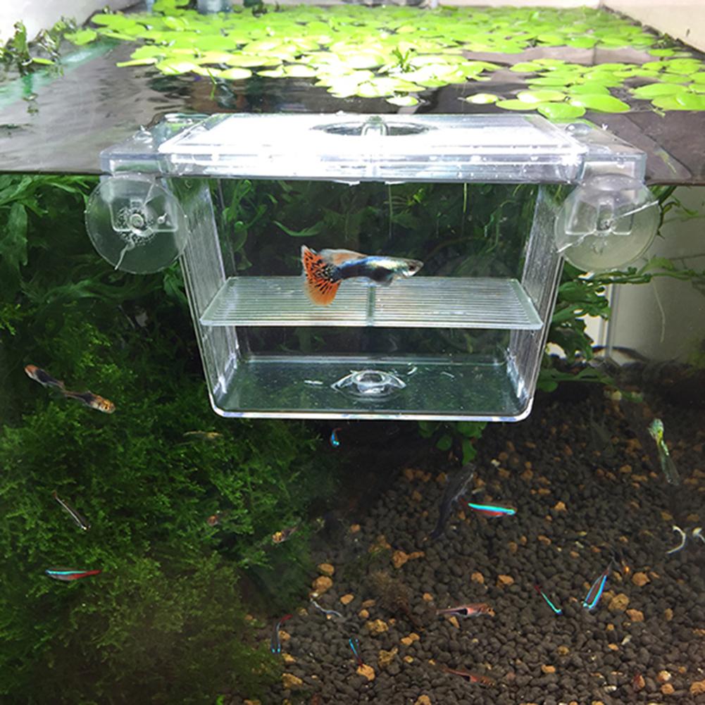 

Transparent Aquarium Incubator Fish Tank Isolation Box Acrylic Hatchery Fish Decoration Fish tank Spawning Hatching Room Hot China Mainland