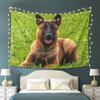 Belgischer Schäferhund Malinois Wandteppich Ästhetische Heimdekoration Wandteppiche für Wohnzimmer Schlafzimmer