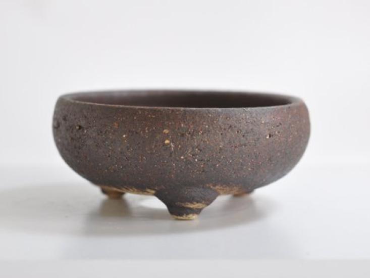 5 Ghivece Bonsai Ceramice pentru Fier cu Pietre și Include Repotarea 15cm Lățime x 6cm Înălțime Nu. Shigaraki-yaki Flori sălbatice, Pietre, Kit,