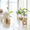 Gifts Flower Vase Weddings Party Flower Pot Home Garden Decoration Plant Vases Test Tube Vase