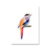 Toucan Watercolor Tropical Rain Forest  Wall Art Canvas Painting Nordic Toucan Posters And Print Picture Living Room Home Decor
