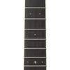 Yamaha acoustic guitar LJ6 are BS equipped with passive type pickup