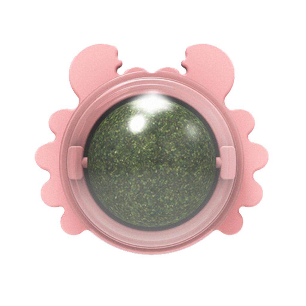 Catnip Wall Ball Licking Snacks Healthy Nutrition Ball Teeth Cleaning Catnip Toy for Cats Clean Mouth Promote Digestion Indoor