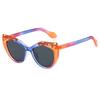 Personalized Retro Polarized Sunglasses Uv Protection, Sunglasses Popular Glasses