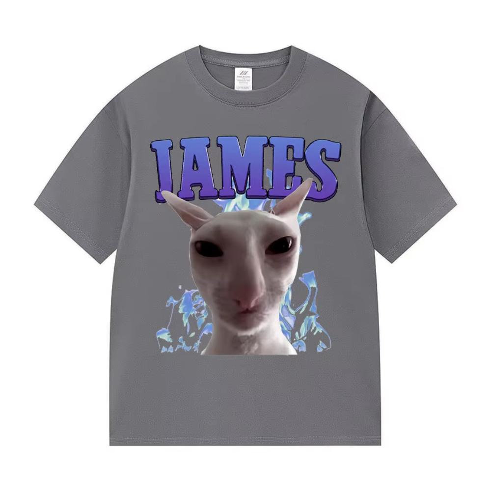 

James IAMES Funny Cat Meme T-shirts Stupid Joke Gifts Cat Lover Short Sleeve T-shirts Men Women Fashion Oversized Cotton T Shirt 4XL