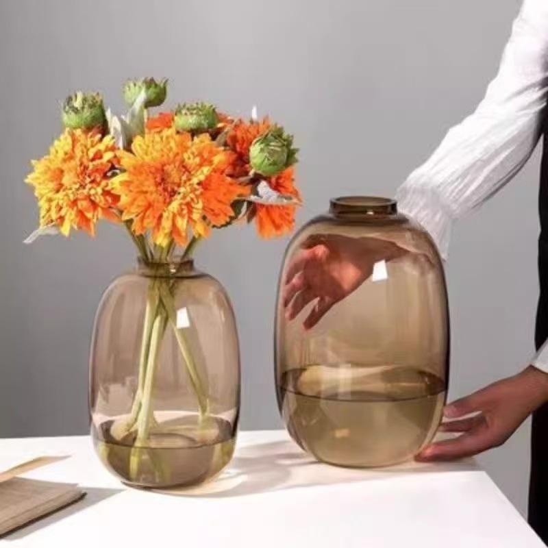 Minimalist Large Belly Glass Joy Vase for Hydroponic and Indoor Green Plants, Japanese Style