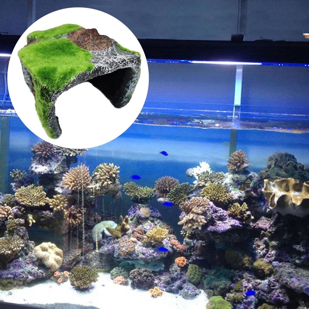 Tortoise Reptile Hiding Cave Fish Aquarium Decoration Durable Hideouts House