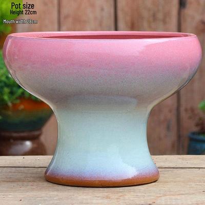 Decorațiuni pentru casă – Ghivece de flori decorative