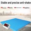 FAYA High Precision Electronic Floor Scale: 1-3 Ton Capacity for Weighing Pigs, 500kg Platform. Ideal for Animal Husbandry and Industrial Use.