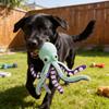 Pluche Octopus Knaagspeeltje Met Geluid Voor Hondentraining En Tandgezondheid