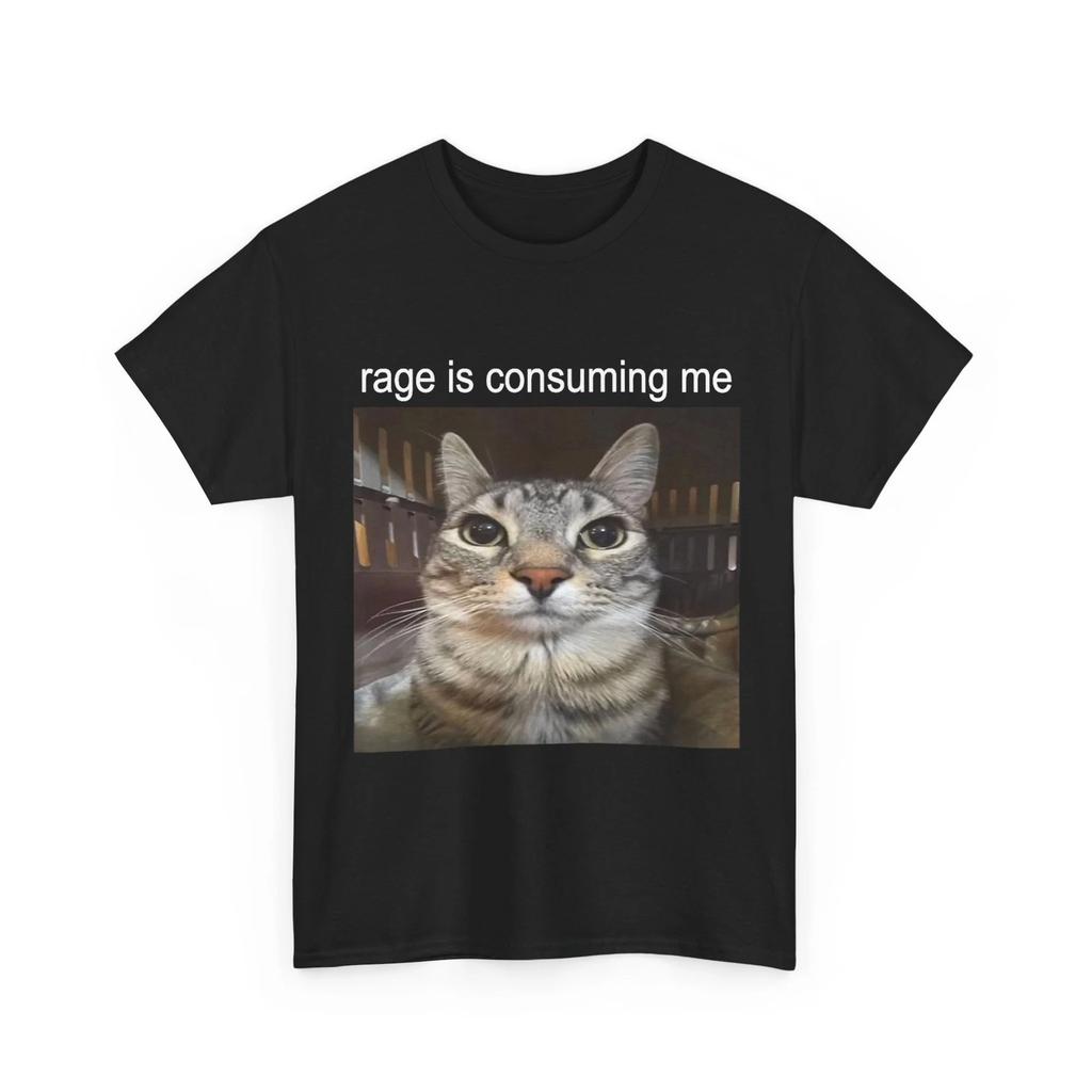 Rage Is Consuming Me Silly Staring Cat Meme T shirt