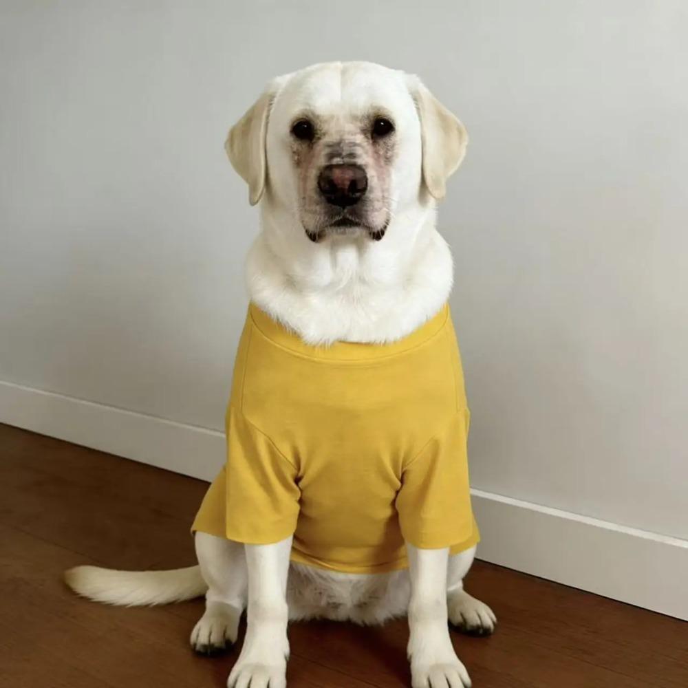Frühling Sommer Einfarbige Hundekleidung für große Hunde, Dünne Anti-Haarausfall Haustierkleidung für Labrador Golden Retriever Border Collie