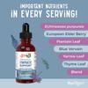 Lymphatic Support Herbal Blend Liquid Drops - Organic Lymphatic Cleanse - Echinacea & Elderberry - Blue Vervain - Vegan - 30 Servings