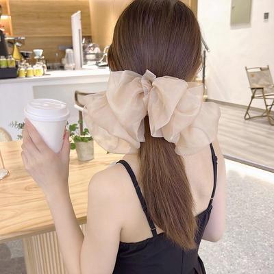 Chiffon Haarspange Schleife für Pferdeschwanz - 2023 Trendiges Haaraccessoire
