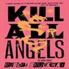 Kill All Angels by Robert Brockway Paperback Book 9781250813619