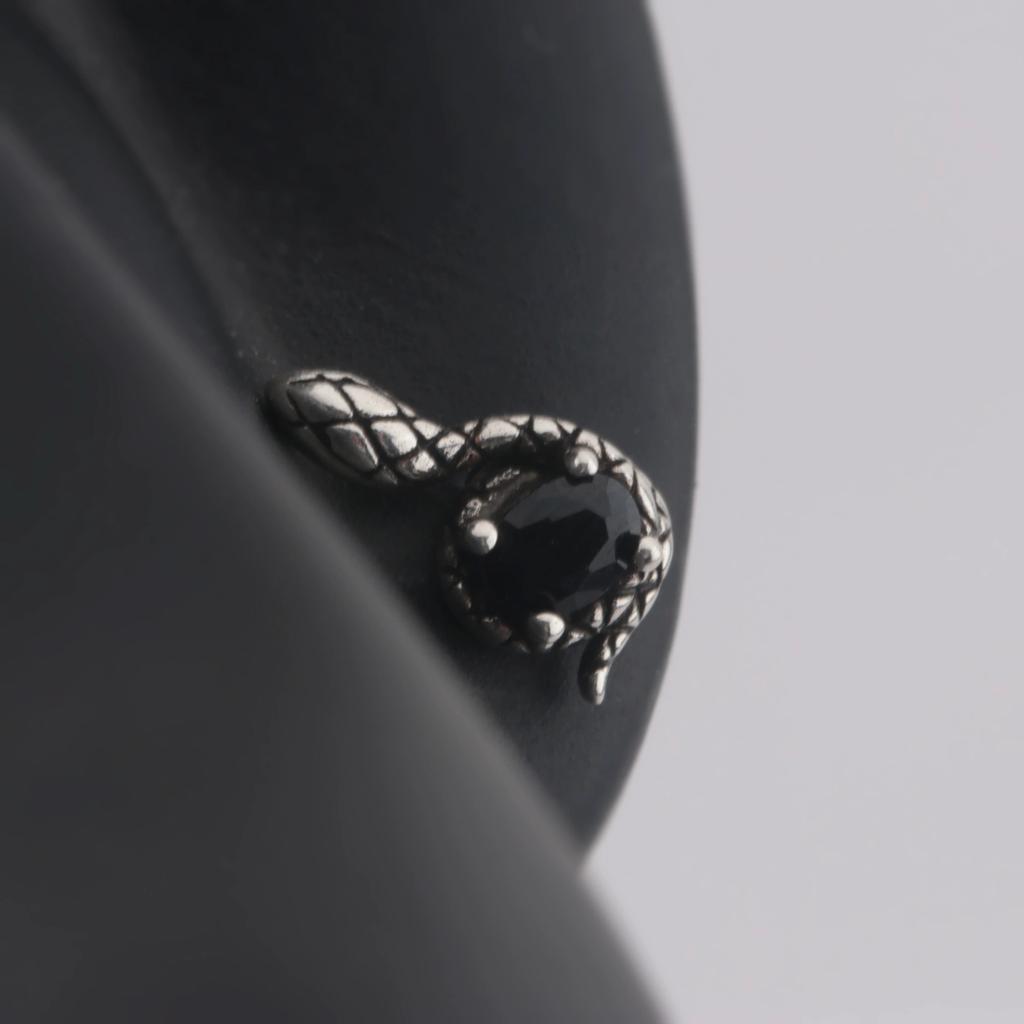 Punk Gothic Snake Screw Ear Stud Piercing Earrings For Men Women Fashion New Jewelry Gift Party Music Festival