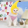 Pet Sunflower Hats, Dog and Cat Banana Headwear, Cat Head Covers, Teddy French Bulldog Supplies