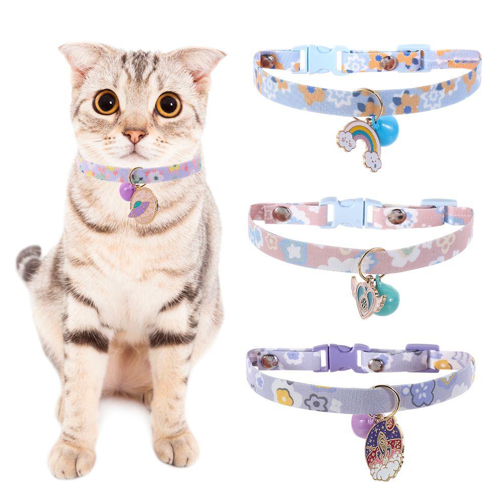 kitten accessories