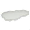 Dish Worm Feeder Food Container For Amphibian Tortoise,Turtle