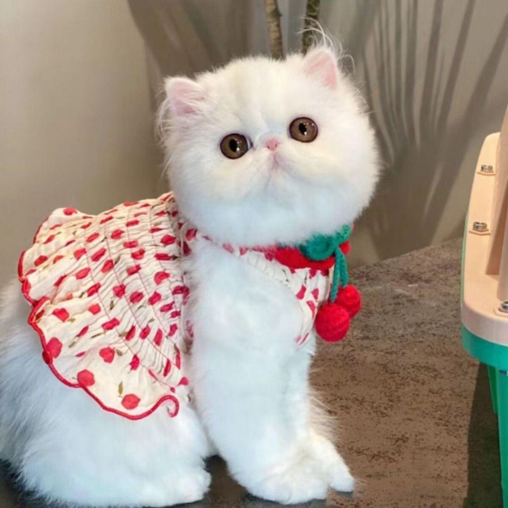 Soft Pet Princess Dresses Cute Dog Vest Skirt Comfortable Pet Summer Clothes  Kittens