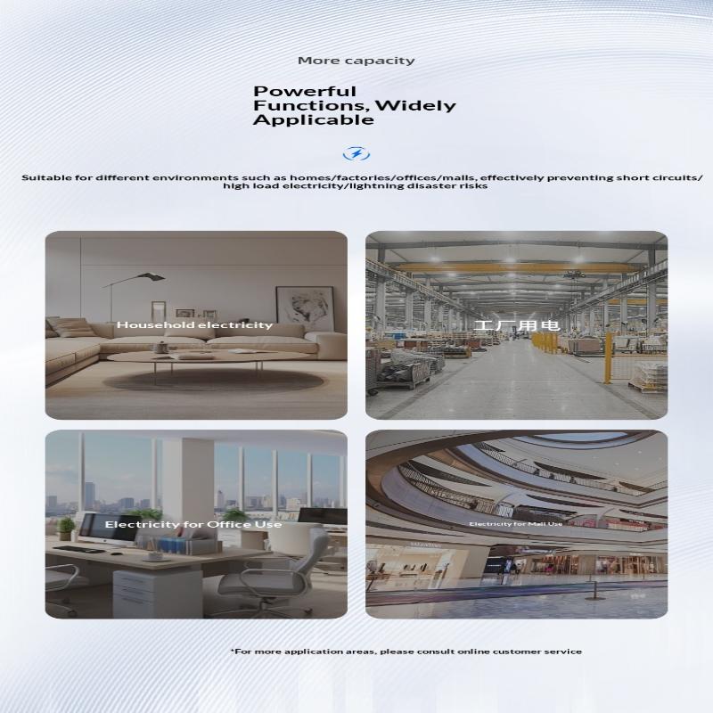 DZ30LE Residual Current Circuit Breaker 230V 1P+N Residual Circuit Breaker With Over And Short Current Leakage Protection RCBO M