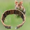 Hamster Zaun Stabile Konstruktion Bruchfest Bissfest Kratzfest Feine Verarbeitung Langeweile Lindern Handgefertigt Hamster Holzbrücke Zaun