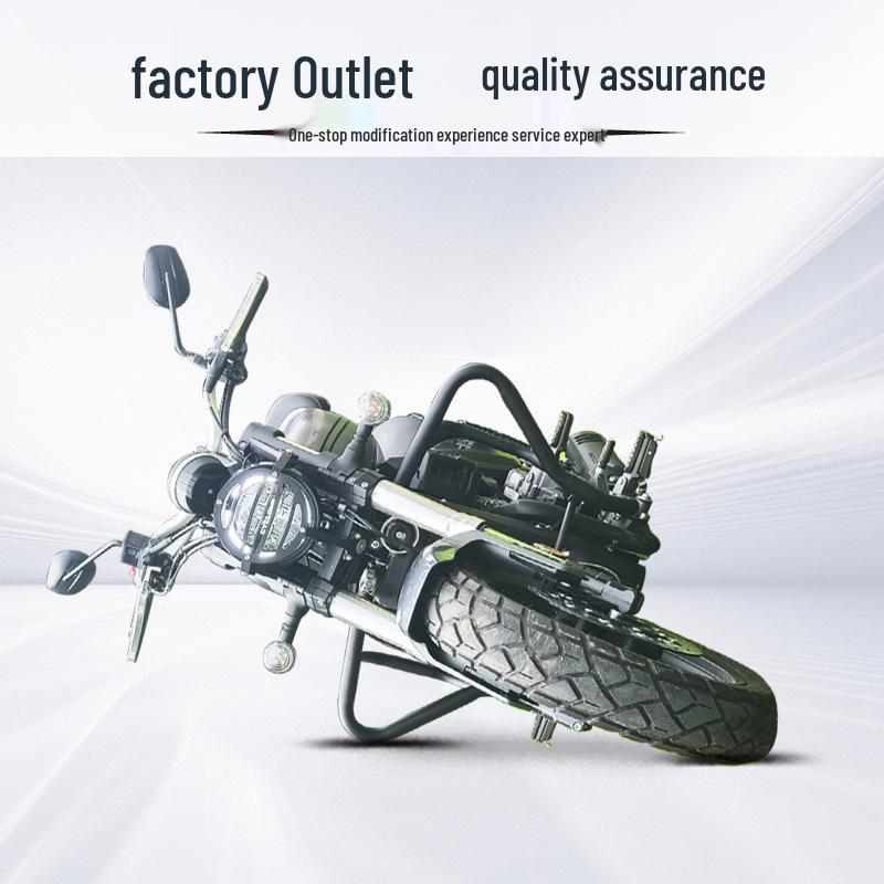 Cyclone RA401 Quick Release Bumper & Side Bag Guard with Folding Backrest & Rear Rack