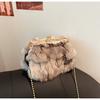 Podzimní a zimní nová vlasová taška dámská spona do vlasů z liščí srsti dámská taška s texturou ramenní crossbody oblačná taška trendy zahraniční obchod dámská taška