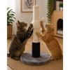 Cat Tree - EDEN - Alize - Compact 52 Cm - Rubber Massage Surface - Hanging Toy