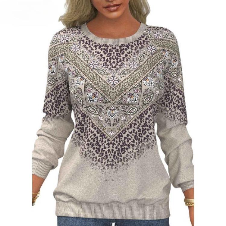 Loose Women s Casual Comfortable Hoodie Pullover Long Sleeve Round Neck Top Simple Design Autumn Spring New Sense Fashion S