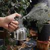 Stainless Steel Watering Can, Mini Plant Spray Mister 10oz/300ml Watering Pot For Outdoor Indoor Gardening Plant