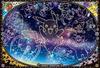 ENSKY Pokemon Look Up at the Starry Sky 51 x 73.5cm Jigsaw Puzzle 1000 Pieces JIGSAW PUZZLE 1000T-93